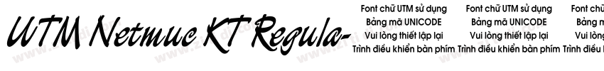 UTM Netmuc KT Regula字体转换